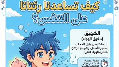 كيف تساعدنا رئتانا على التنفس