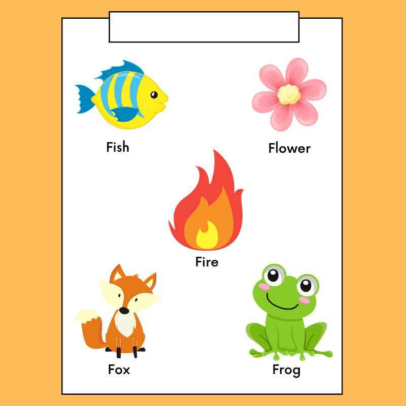 Brainy Summer Hands Pack سلسلة التعلم المبكر للغة الإنجليزية - Image 4