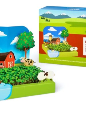 My First Mini Garden Kit